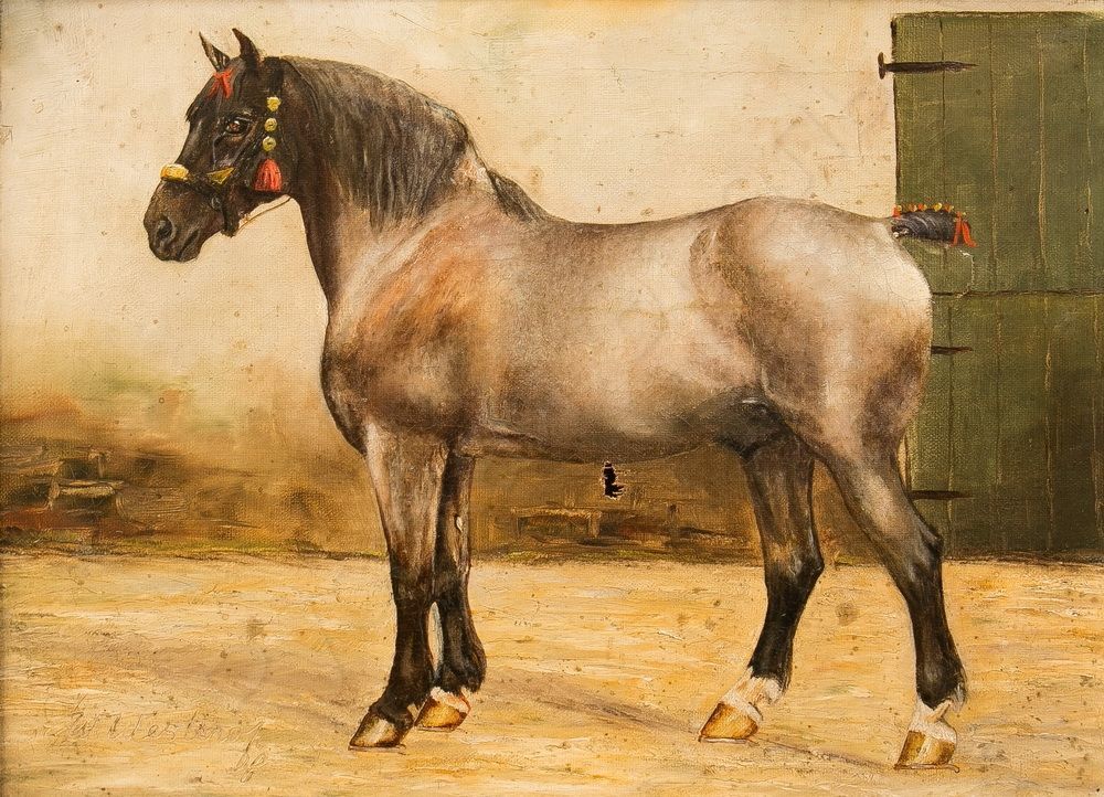 Вильгельм Вестероп (1876 - 1954) - фото 1